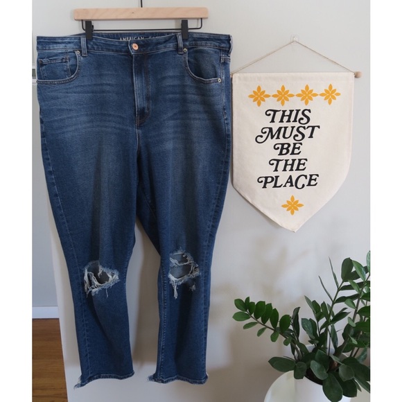 American Eagle Outfitters Denim - American Eagle Stretch Curvy Mom Jean